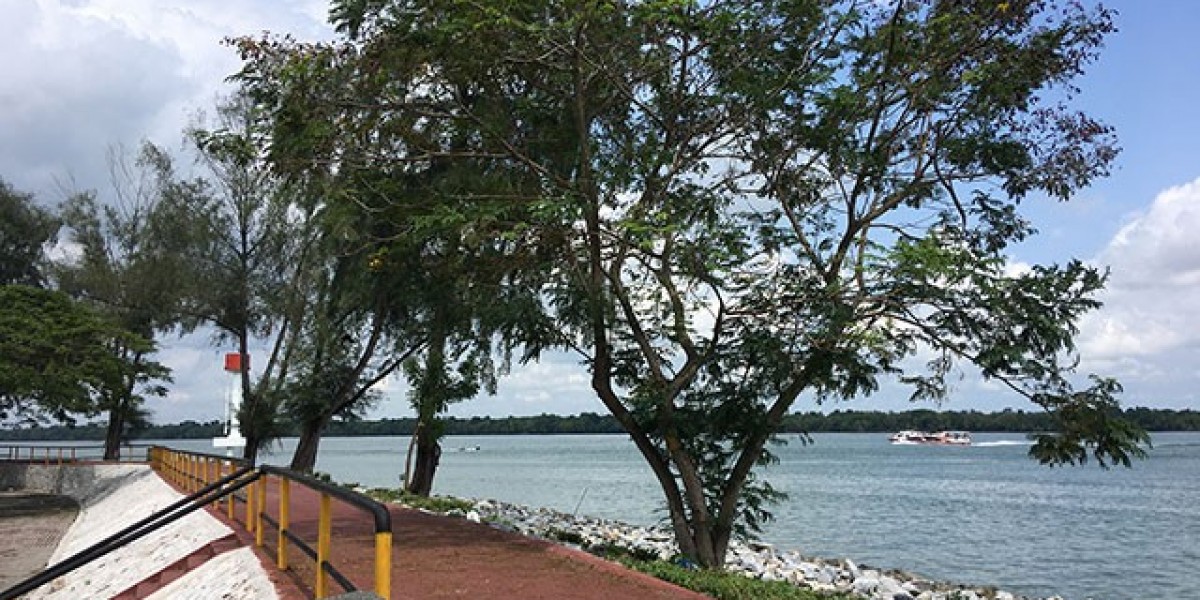 The Most Breathtaking Road Trips You Must Take