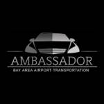 Ambassador Airport Profile Picture