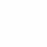 totodamagescamm Profile Picture