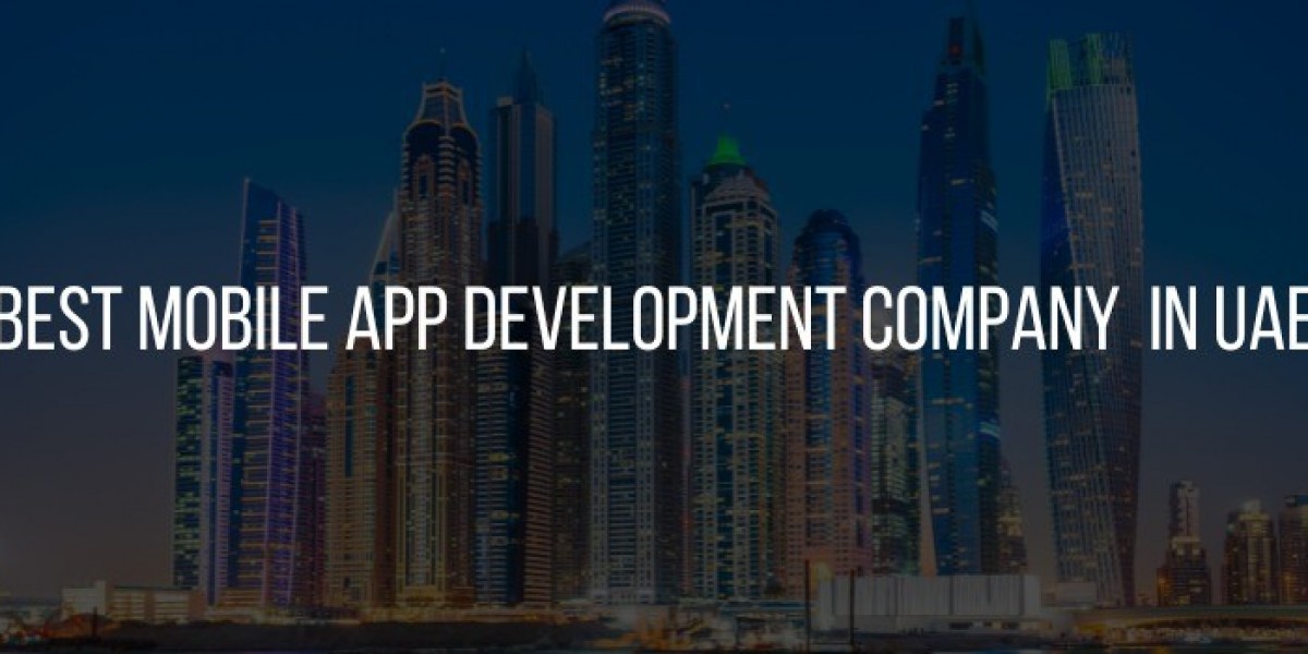 How to Choose the Best Web Development Company in New York, USA