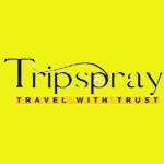 Trip spray Profile Picture