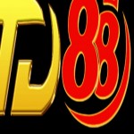 TD88 COM Profile Picture