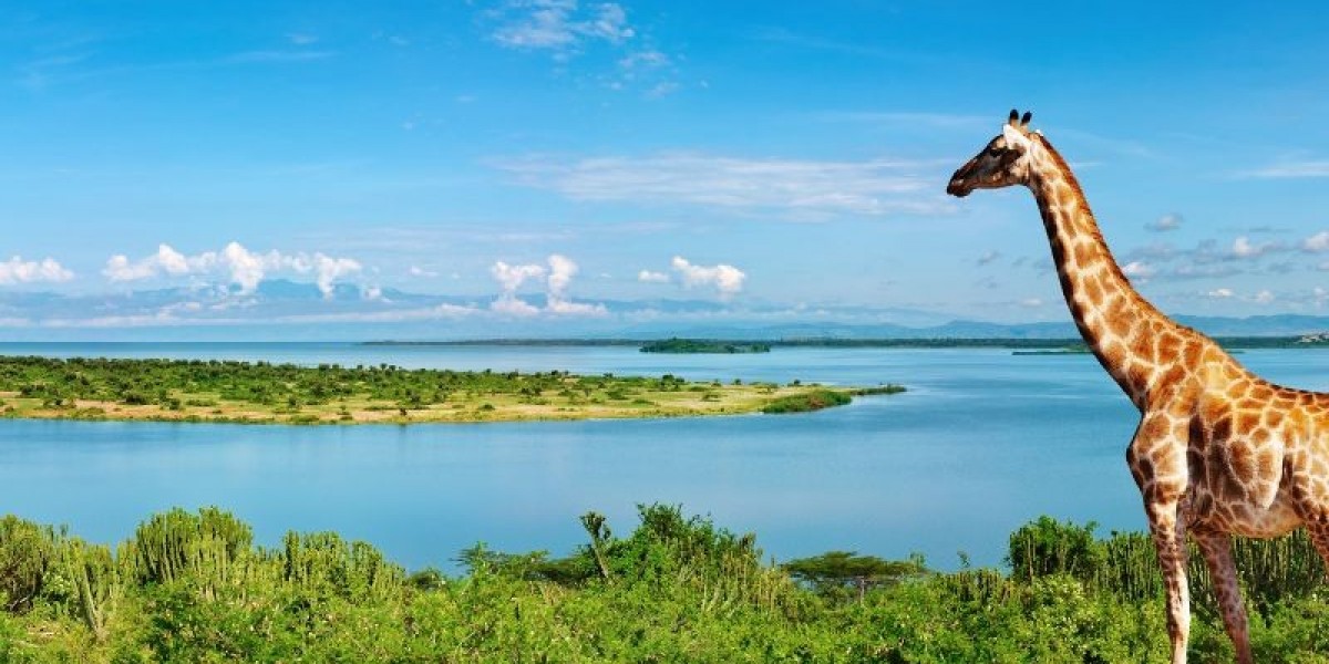 Top Hiking Trails in Uganda: From the Rwenzori Mountains to Sipi Falls