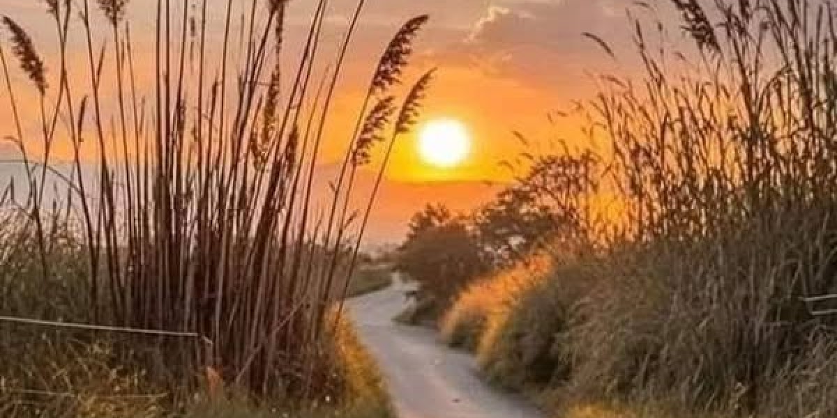 Exchange objectives that produce experience for the Phillies 2.0