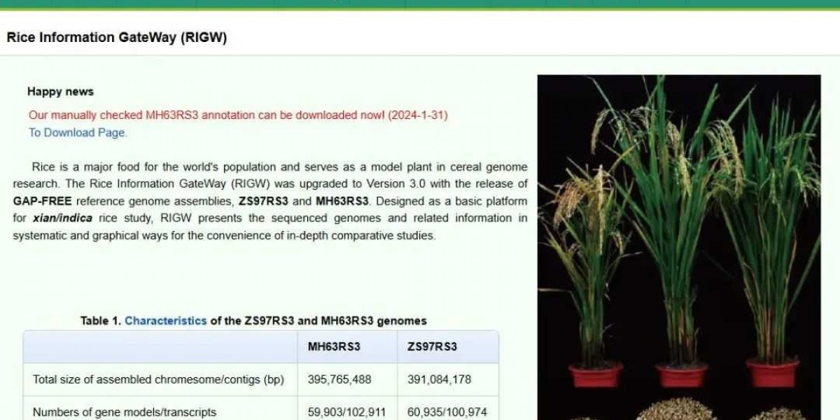 Breeding Tools: Common Database for Rice Research