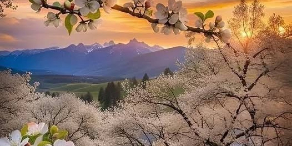 White Sox get rid of 5th right match with stroll-off reduction towards Twins