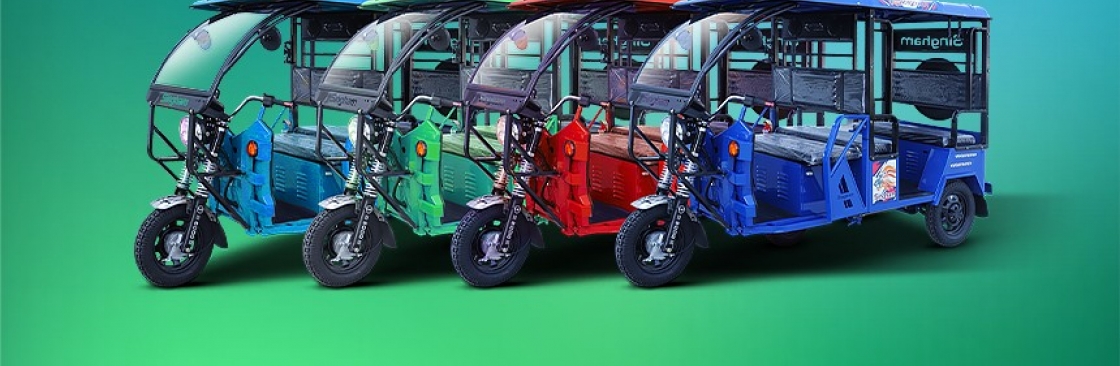 Singham Rickshaw Cover Image