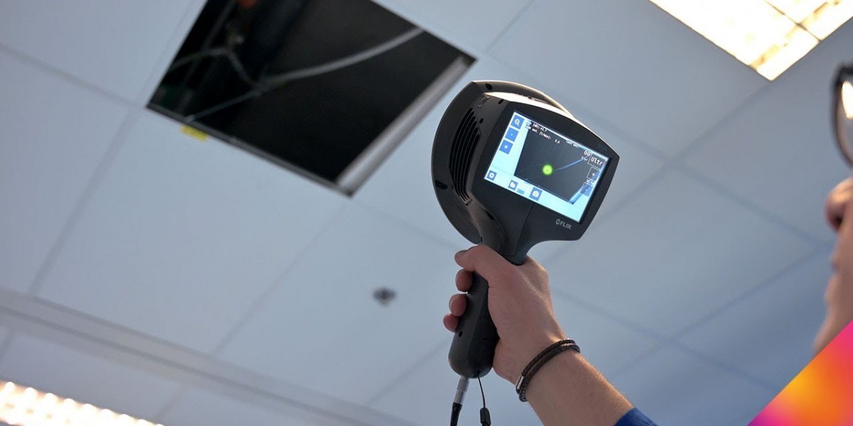 Unlocking Sound: The Growing Market for Acoustic Cameras