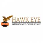 Hawk Eye Security & Detective Agency Pvt. Ltd. Profile Picture