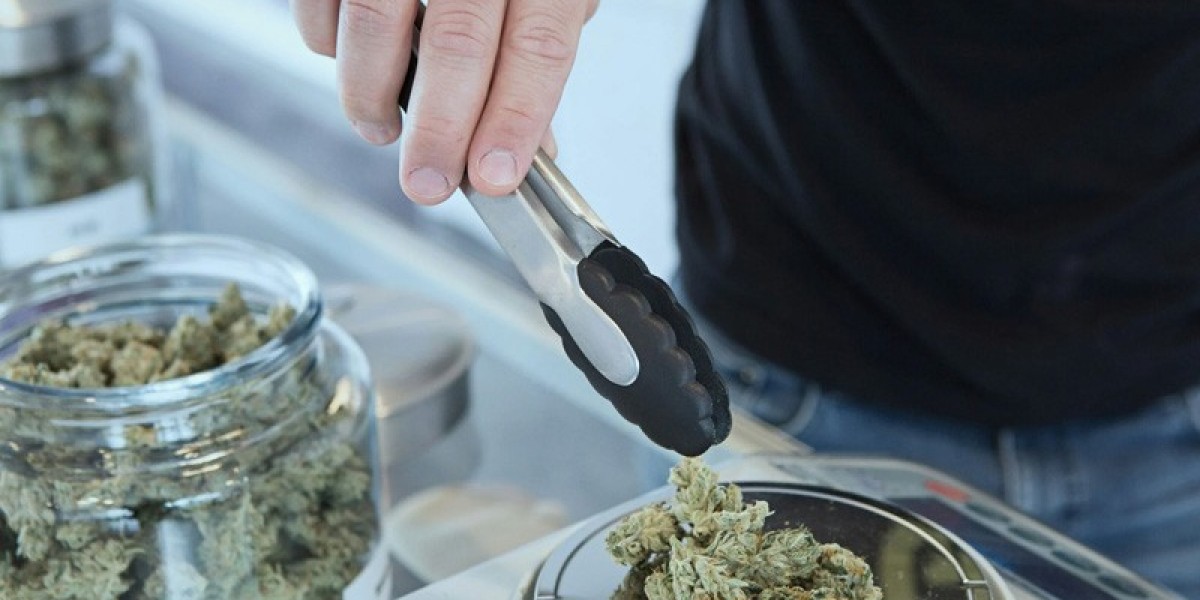 Discovering the Best Dispensary and Cannabis Near You