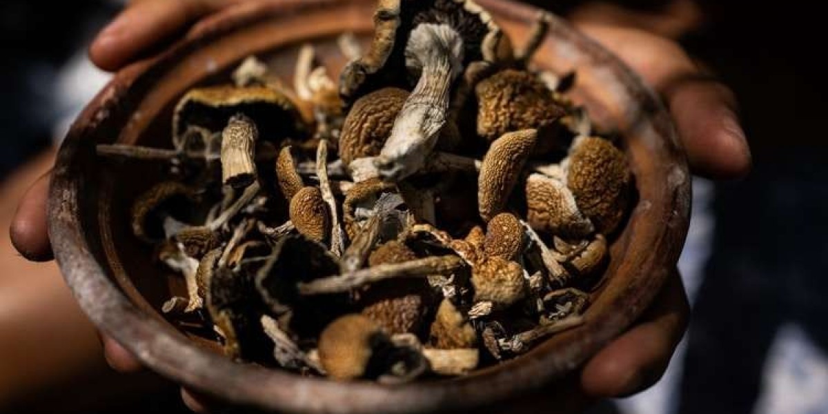 What Makes Colorado Psilocybin Retreats Unique? A Deep Dive