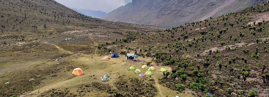 Ice Rock Trekking Cover Image