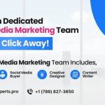 Social Media Marketing Expert Profile Picture