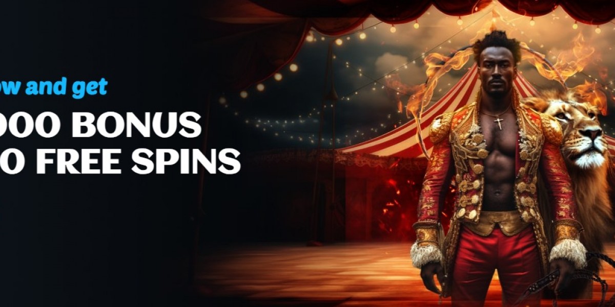 Spinsup Casino Madness Where Reels Get Real