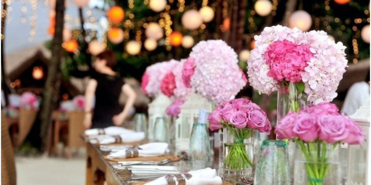 Why Choose Norwich Entertainment for Weddings & Parties in 2025