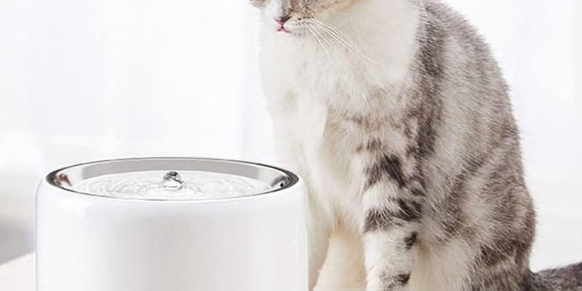 How Does Pawtechpet Intelligent Pet Water Dispenser Support Wellness?