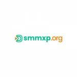 SMM X PANEL Profile Picture