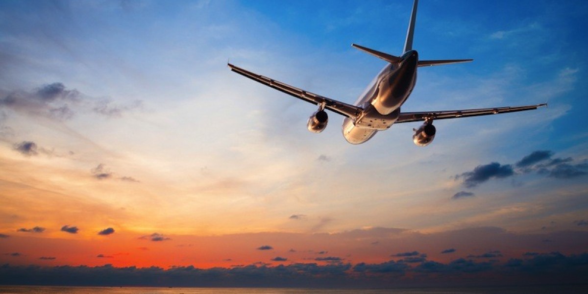 Talk to a Human for Wheelchair Assistance at Southwest or Frontier