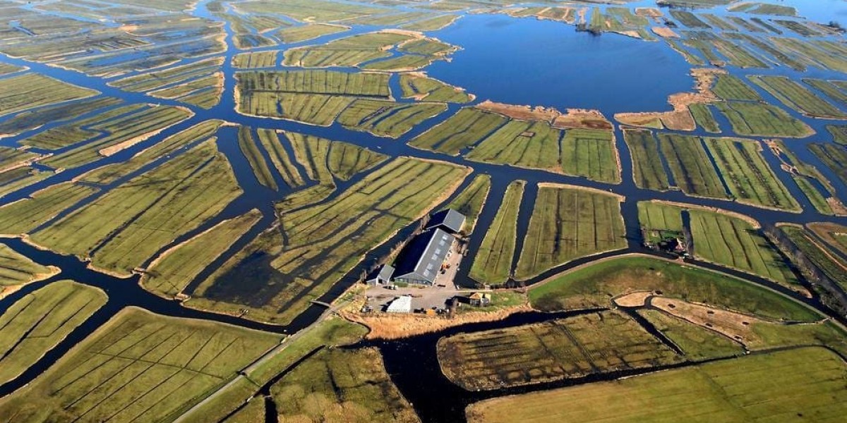 The Role of the Dutch Polder Model in Economic Success
