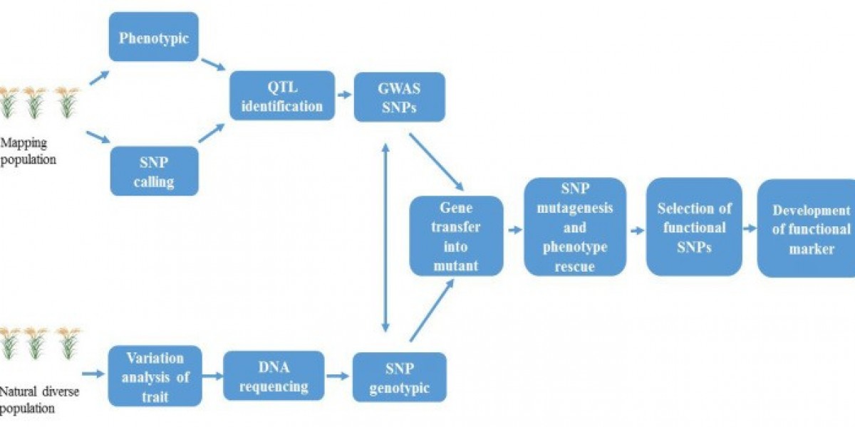 Targeted GBS Technology and Precision Agriculture