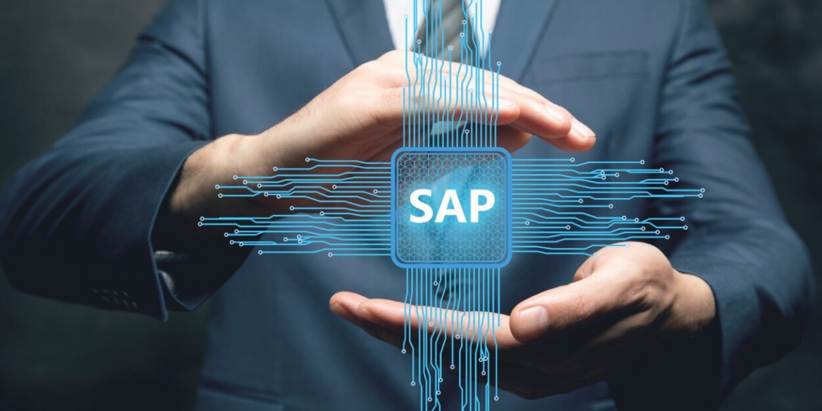 What Is SAP IDES?