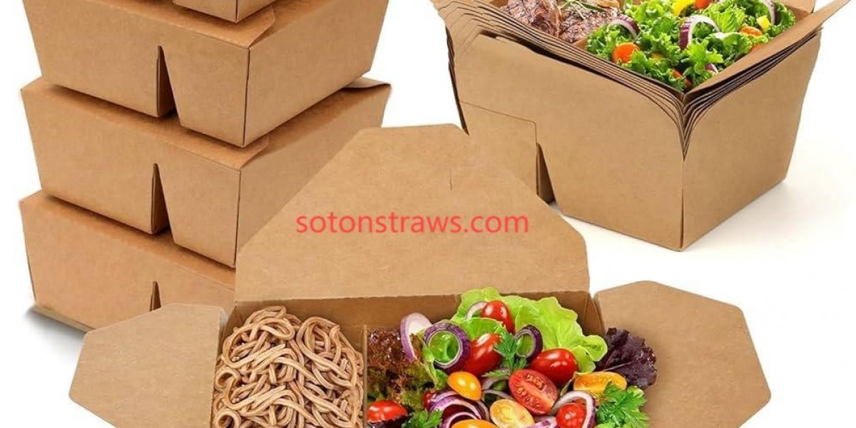 Soton Disposable Kraft Box Insights