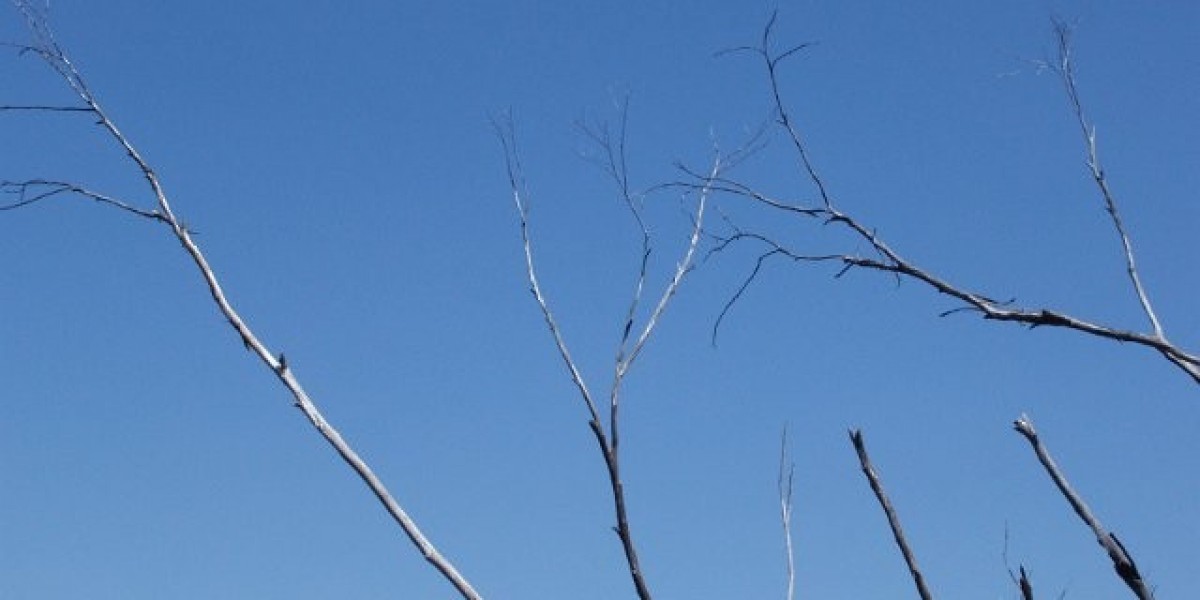 Ozzy Osbourne's Last Photographs, Weeks Earlier Than His Death, Surfaces On-line, That Includes Spouse Sharon And A