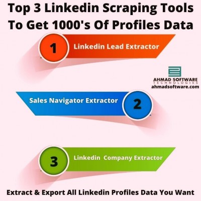 LinkedIn L Profile Picture