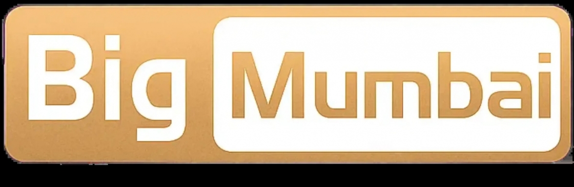 The Big Mumbai Cover Image