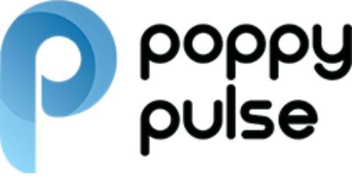 Poppy Pulse – Leading Performance Marketing Agency in Delhi Driving ROI