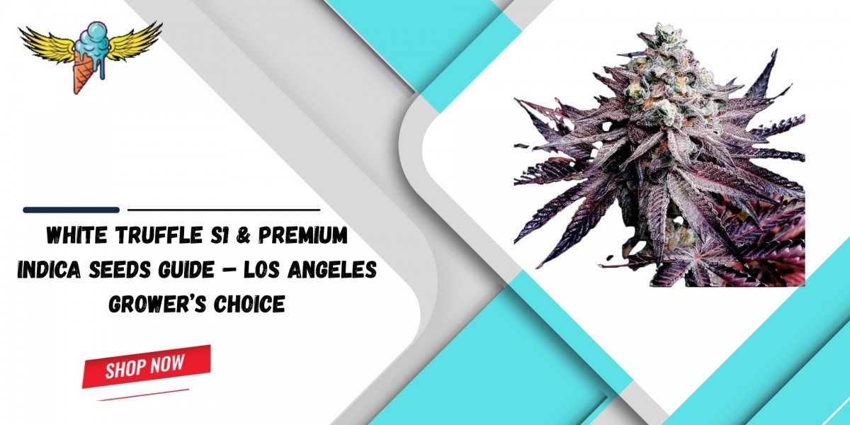White Truffle S1 & Premium Indica Seeds Guide – Los Angeles Grower’s Choice