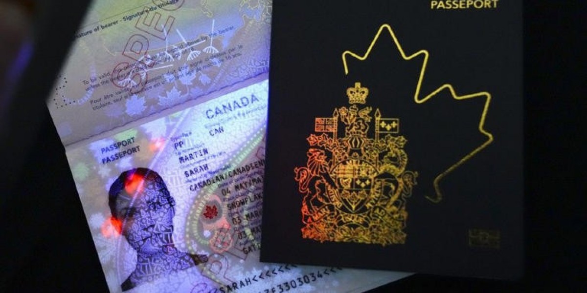 Apply for a residence permit online on a reliable website