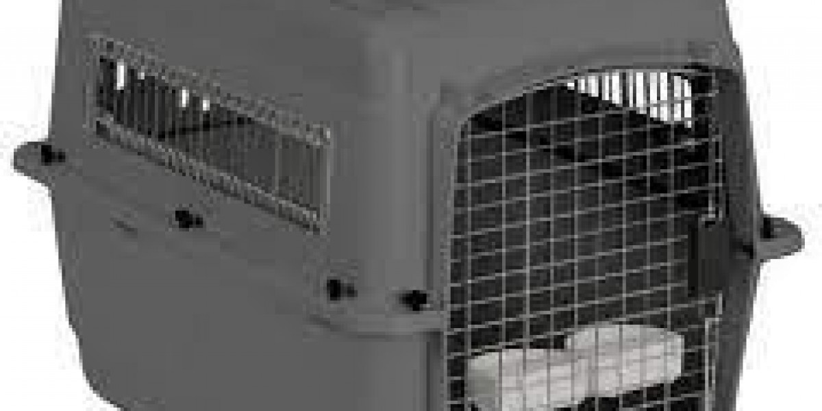 Can Pawtechpet Pet Carriers Support Outdoor Exploration?