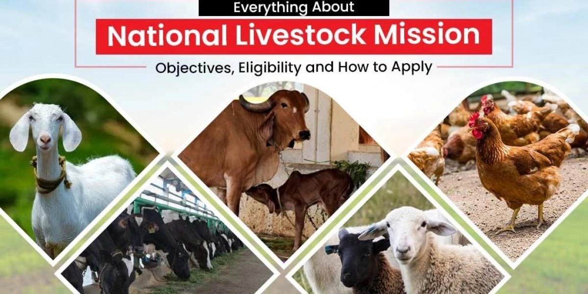 Read How The National Livestock Mission Work for Productivity