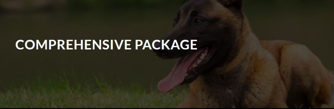 The Driven Dog Cover Image