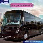 bus xoxo Profile Picture