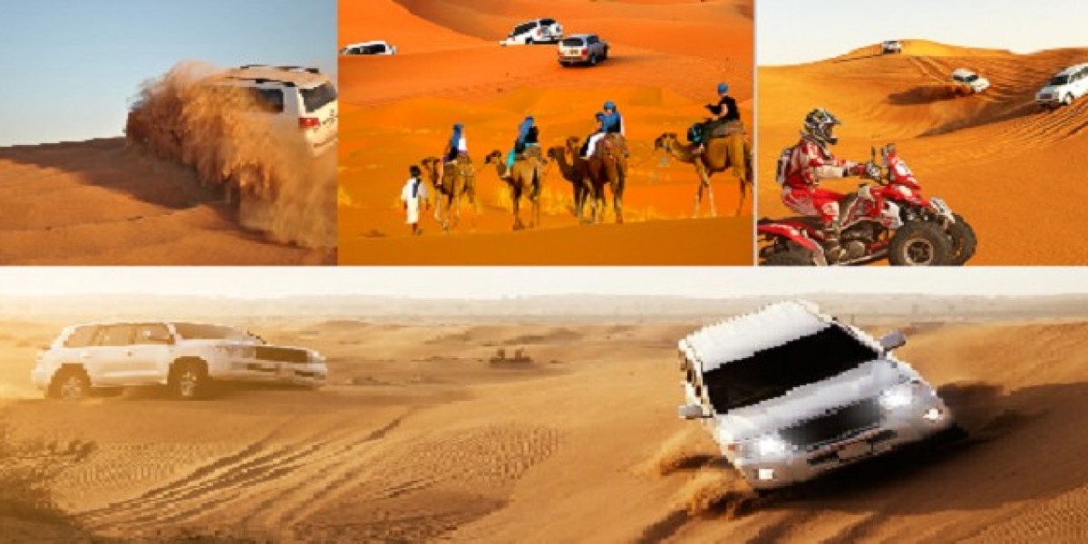 Experience Best Desert Safari Dubai For Family Now