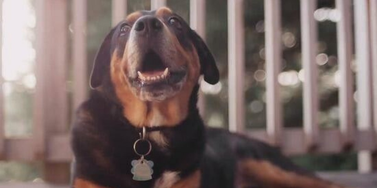 MUSHIN - Frequently Asked Questions [FAQs]