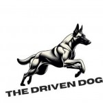 The Driven Dog Profile Picture