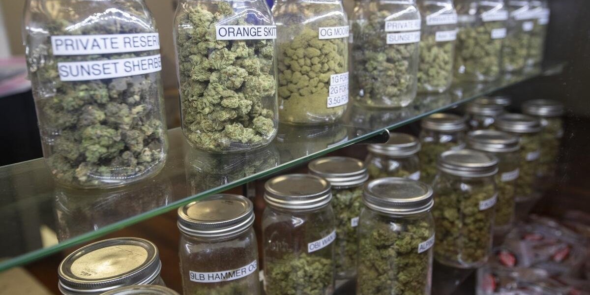 5 Essential Steps to Obtain Your Kentucky Doctor License for Medical Cannabis Practice