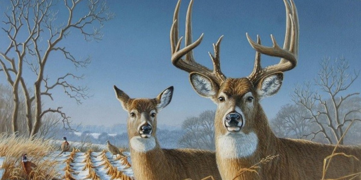 Deer Symbolism for Healing and Harmony