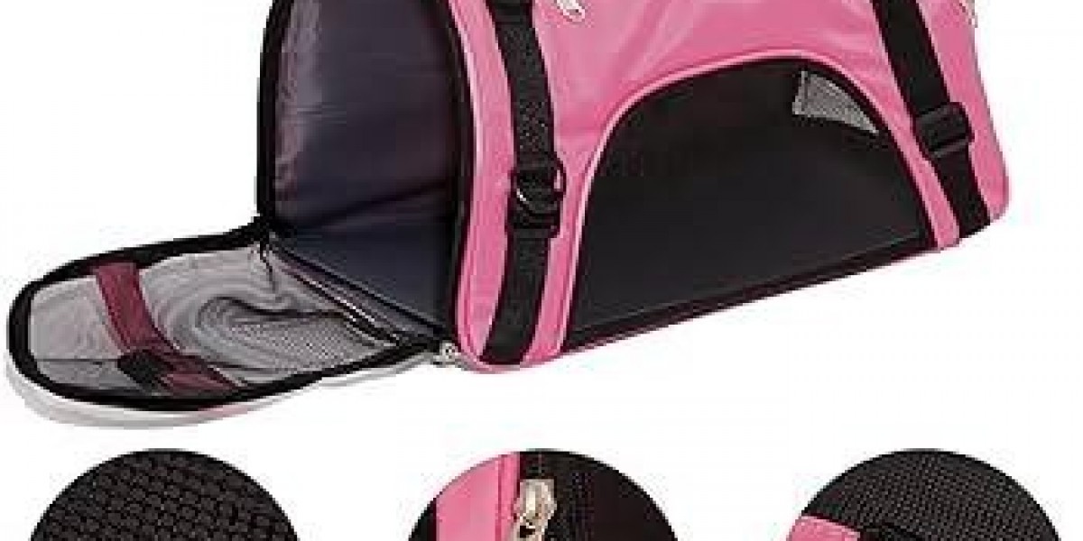 Can Pawtechpet Pet Carriers Make Travel Easier?