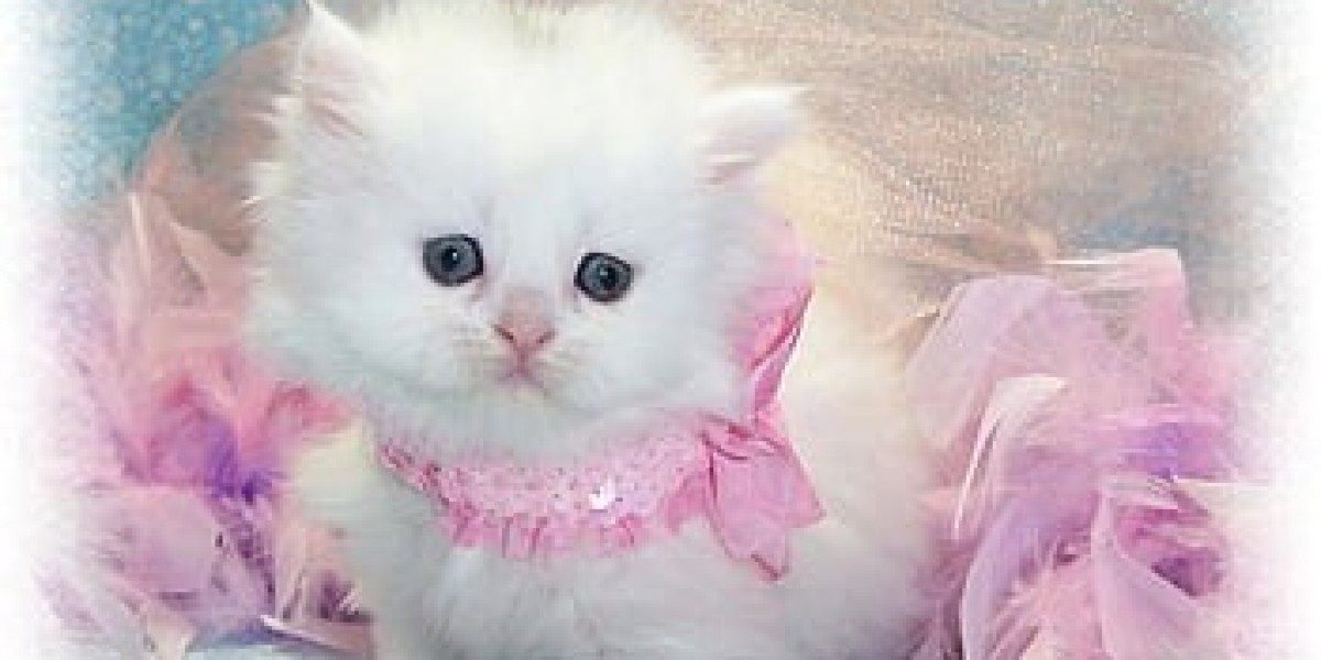 The Latest Buzz in Celebrity News: Your TMZ Update