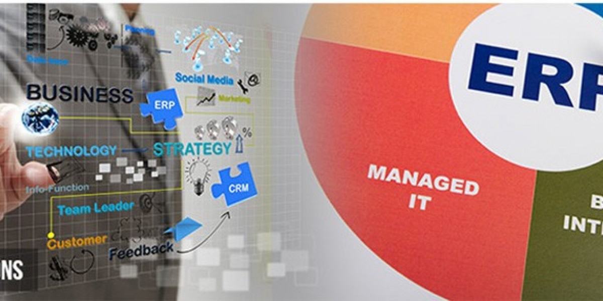 Streamline Your Business with ERP Software in Dubai