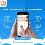 Big Mumbai Big Mumbai Game Profile Picture