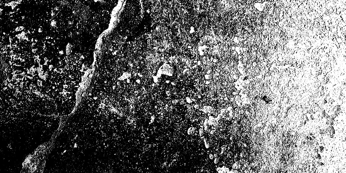 Best Modafinil Sites: A Complete Study Report