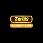 ZO789 ITCOM Profile Picture