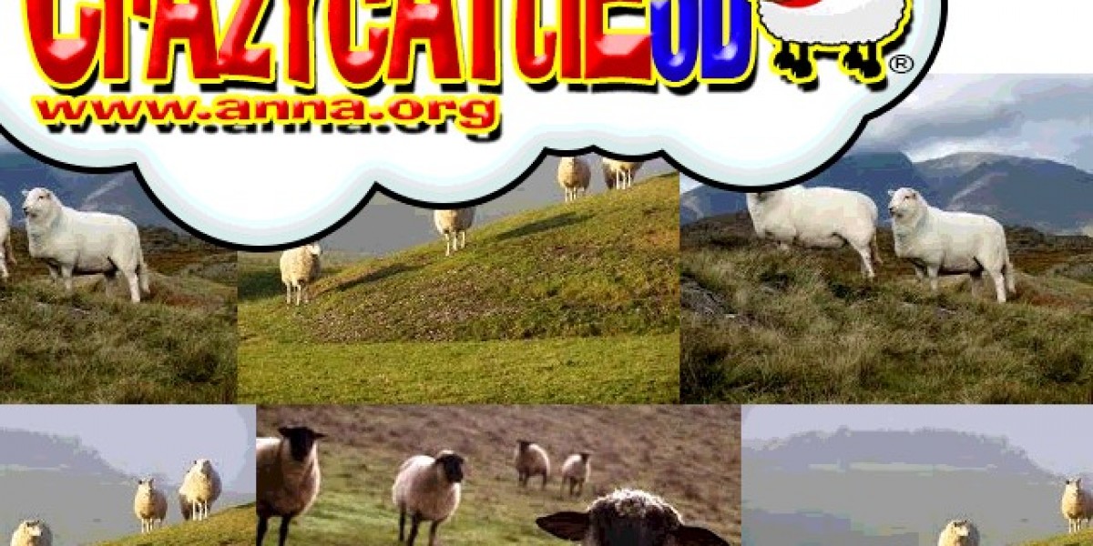 Jump Into the Woolly Chaos: How to Play Crazy Cattle 3D