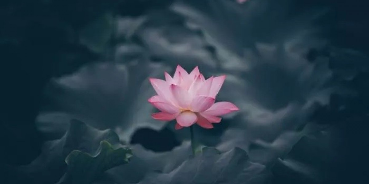 How Does Lotus Symbolism Reveal Secrets of the Soul?