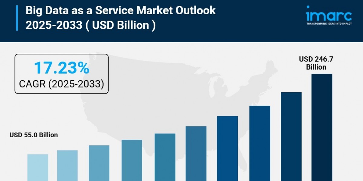 Big Data as a Service Market Size, Share And Forecast Report 2025-2033